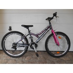 24 colos Capriolo...